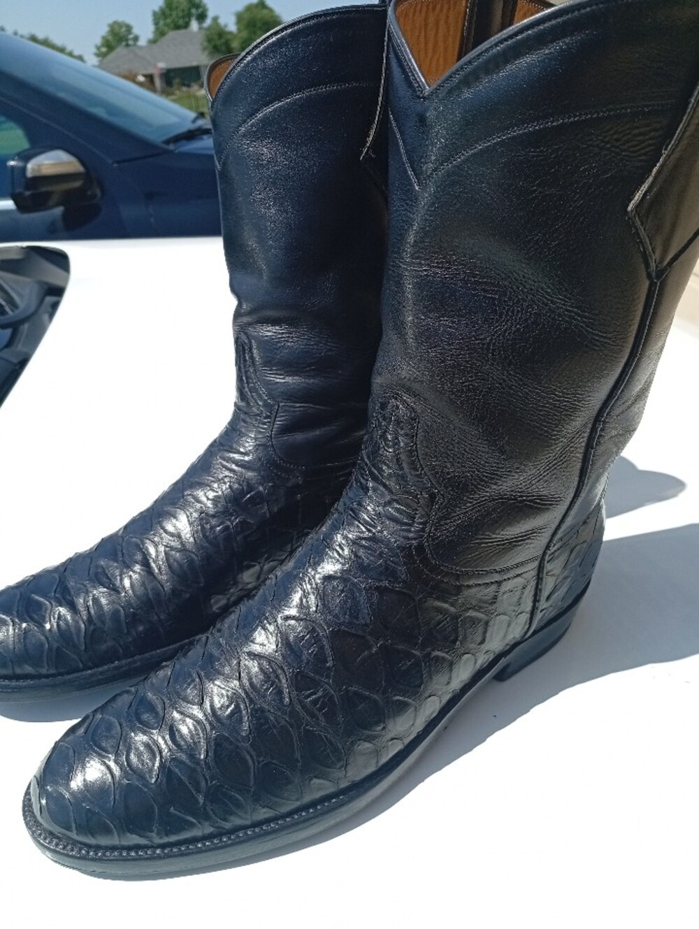 Anteater Cowboy Boots,Pre Ban